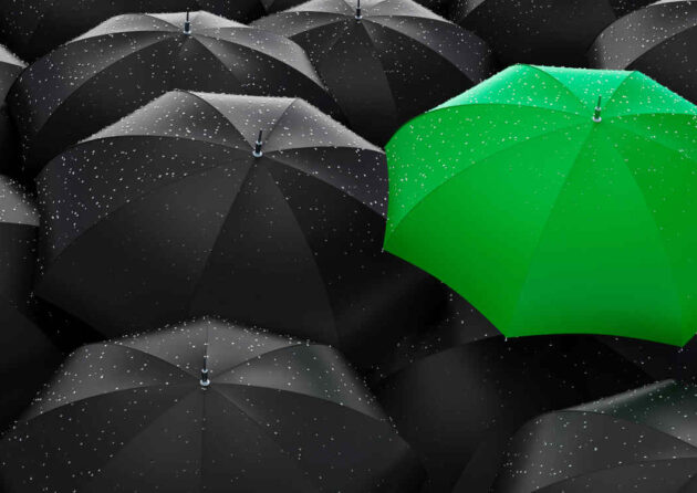 Reinventing Your Business Model to Fuel Growth